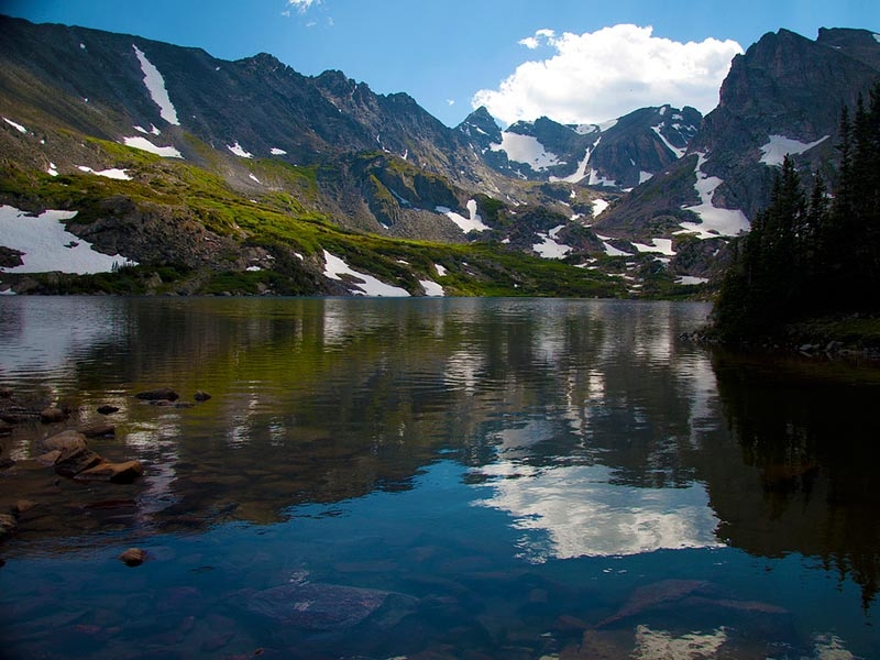 Roosevelt National Forest