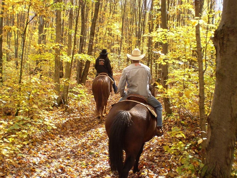 Horseback Riding